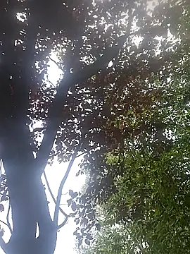Hancoxx online show from July 20, 2026, 10:39 am