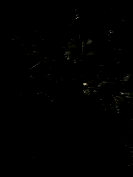 Hancoxx online show from July 22, 2026, 9:17 pm