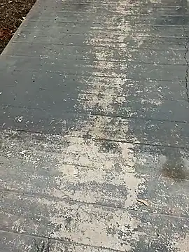 mr slim body online show from January 12, 2026, 9:49 am