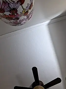 Zander823 online show from February 3, 2026, 11:10 pm