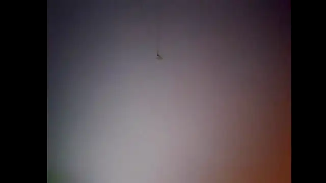 Pegg-fist-me online show from November 28, 2025, 12:00 am