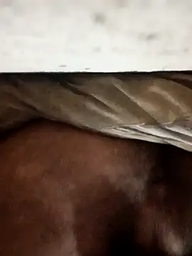 carlos40404 online show from October 30, 2025, 4:00 am