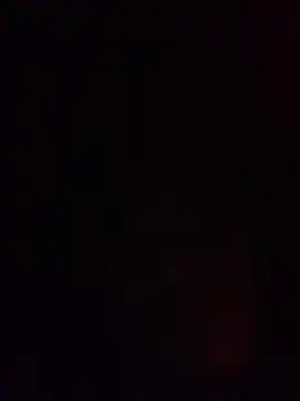 Boysex227 online show from March 13, 2025, 12:05 am