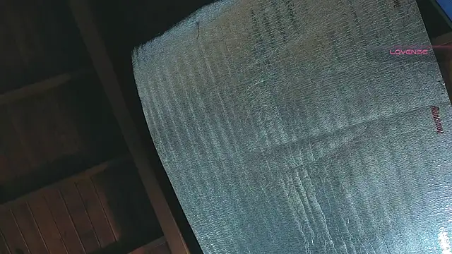 SilvaBranko online show from April 13, 2026, 1:09 am