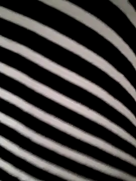 hotandfierylatinos2023 online show from March 16, 2026, 11:03 am