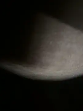 Bongcrush 3 online show from March 8, 2025, 1:17 am