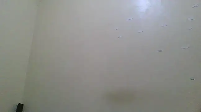 the geisha 2021k online show from March 13, 2025, 6:45 pm