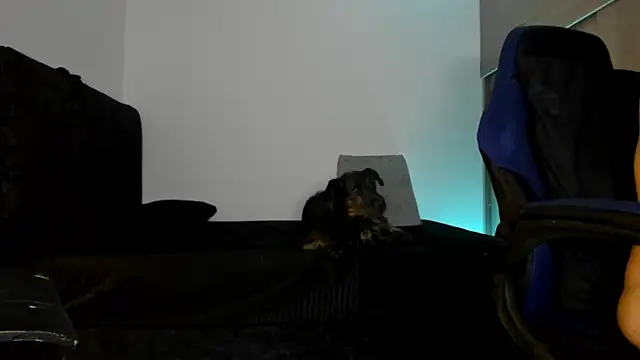 male pussy online show from October 9, 2025, 5:08 am