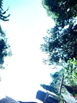 Snapshot of hairyswt_pus chatting on March 29, 2026, 7:32 am hairyswt pus online show from March 29, 2026, 7:32 am