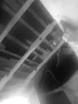 Jerryhottt online show from November 20, 2025, 3:18 am