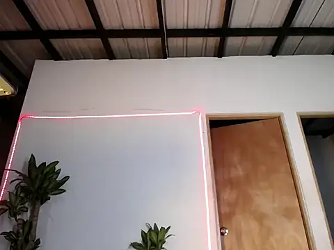 valeng doll online show from February 15, 2025, 8:22 am