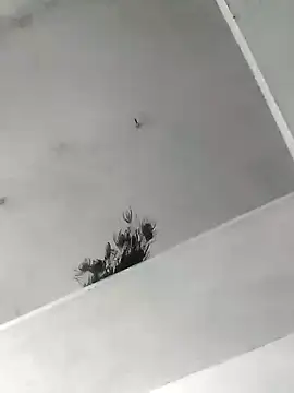 Mafiya1604 online show from October 22, 2025, 5:29 am