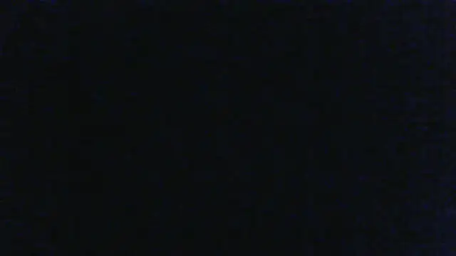 vinzz49 online show from September 11, 2025, 4:01 am