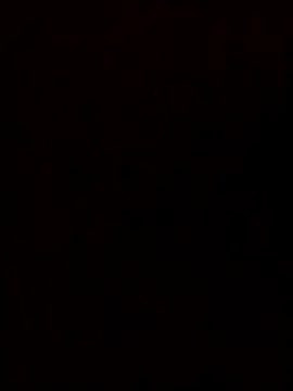 Flaquito pitudo online show from February 24, 2025, 2:19 am