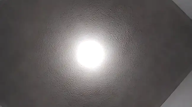 Flaquito pitudo online show from February 26, 2025, 4:08 am