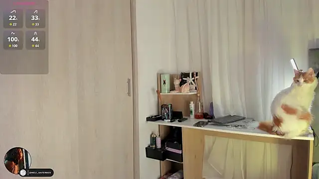 Melina Ferrer1 online show from December 16, 2025, 11:47 am