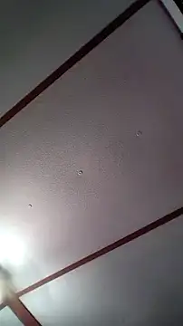 xDestineeXX online show from December 30, 2024, 2:31 am