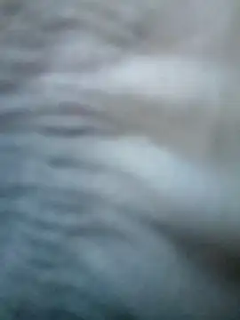 Sarita 7 online show from March 20, 2025, 7:03 am