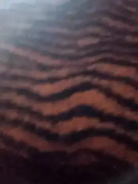 Aachal 7 online show from November 22, 2025, 3:27 am