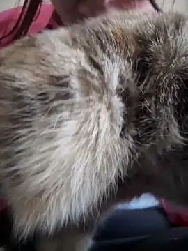 NikaMur online show from October 19, 2025, 2:47 am