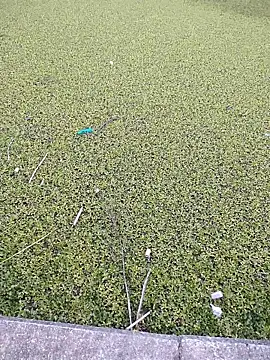 Eduardoxxx51 online show from December 3, 2025, 10:20 pm