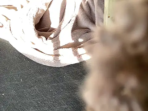 Fuckbuddy36 online show from March 10, 2025, 12:17 pm