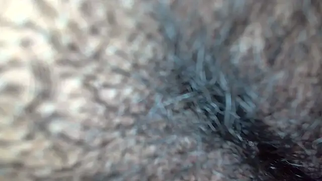 Snapshot of white_sexy_ chatting on November 17, 2025, 10:41 am white sexy online show from November 17, 2025, 10:41 am