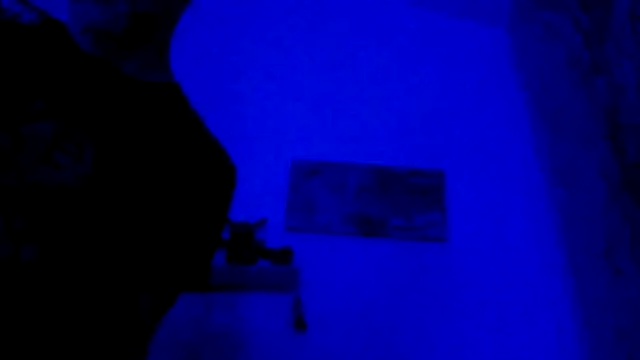 El Gizmo online show from February 28, 2026, 10:59 am