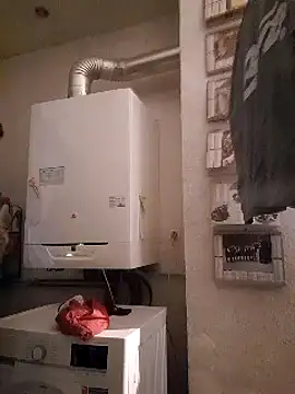 pachapeter online show from February 10, 2025, 9:47 am