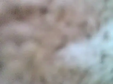 DaddyQuimHot online show from February 9, 2025, 12:08 pm