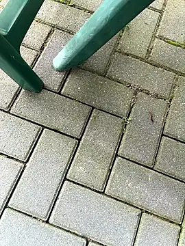 DurableFog online show from April 1, 2026, 7:10 am