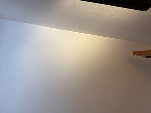 Snapshot of porompomperro chatting on February 2, 2025, 12:46 pm porompomperro online show from February 2, 2025, 12:46 pm