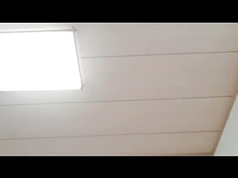 xxArisaxx online show from November 29, 2025, 6:02 am