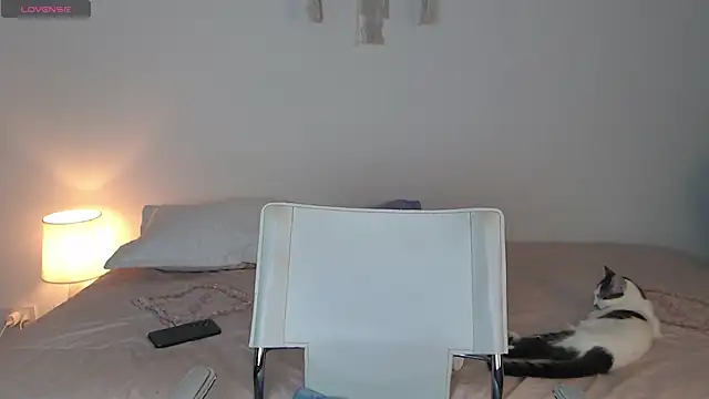 Abii 26 online show from November 8, 2025, 3:10 am