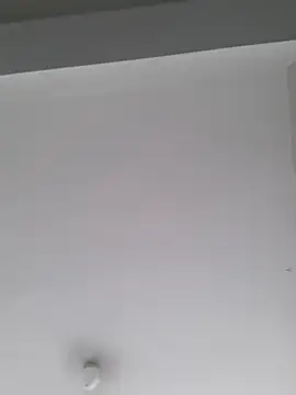 PerfectionBerrie online show from January 15, 2025, 3:39 pm