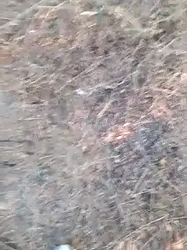 Ajith mvi online show from April 6, 2026, 12:06 pm