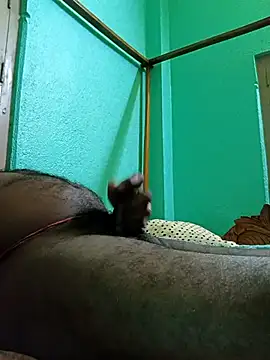 SEXYBOYBIGCOOCK online show from February 12, 2025, 7:02 pm