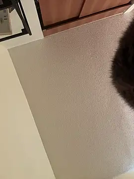 Megan Rodrigo online show from March 7, 2026, 12:32 pm