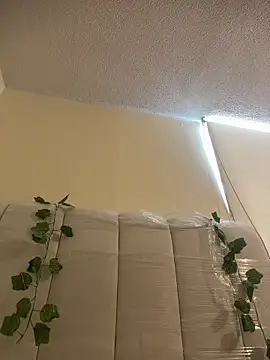 Megan Rodrigo online show from March 13, 2026, 2:11 pm