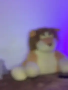 Ambar R0SSE online show from February 20, 2025, 12:30 am