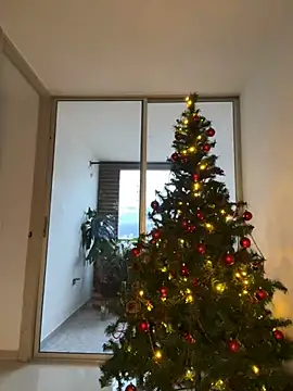 Susi bell online show from December 27, 2024, 10:48 pm