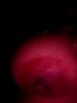 Snapshot of sakshisutra chatting on December 14, 2025, 8:25 pm sakshisutra online show from December 14, 2025, 8:25 pm