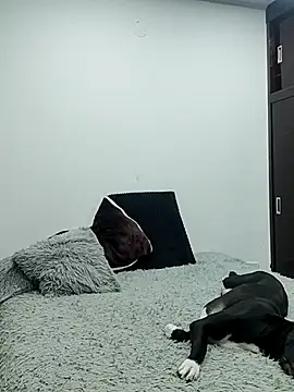 Mariam Gomezxxx online show from February 13, 2026, 12:32 am