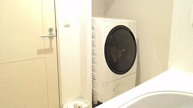 Kakushi dori online show from December 16, 2024, 5:00 pm