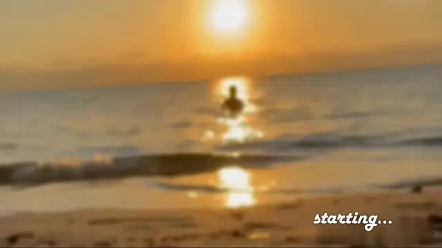 Liam Taylor online show from February 12, 2025, 10:37 pm