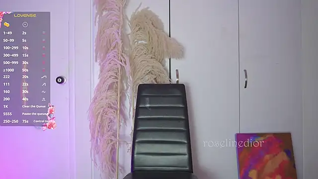 roselinedior online show from November 12, 2025, 11:52 pm