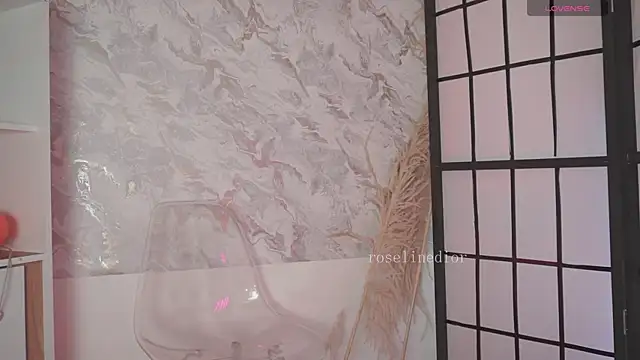 roselinedior online show from April 2, 2026, 2:24 pm