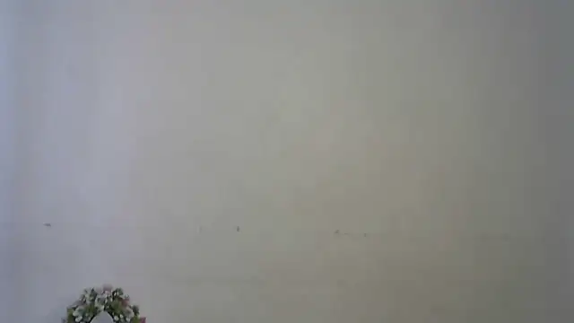 Snapshot of seema_raani chatting on April 16, 2026, 4:46 am seema raani online show from April 16, 2026, 4:46 am