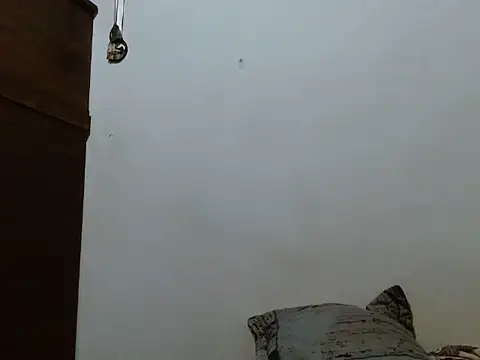 Snapshot of mademonsexy chatting on November 7, 2025, 2:27 am mademonsexy online show from November 7, 2025, 2:27 am