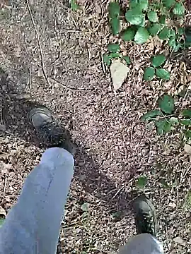 FreezingTie850 online show from March 23, 2026, 11:32 am